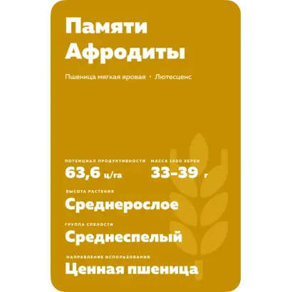 ПАМЯТИ АФРОДИТЫ