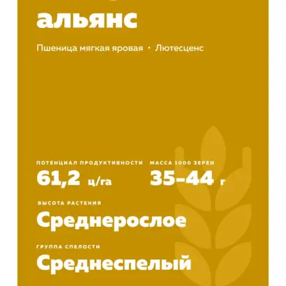 СИБИРСКИЙ АЛЬЯНС