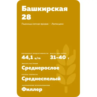 БАШКИРСКАЯ 28