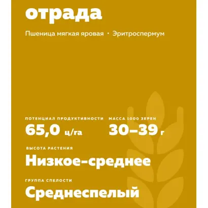 КИНЕЛЬСКАЯ ОТРАДА