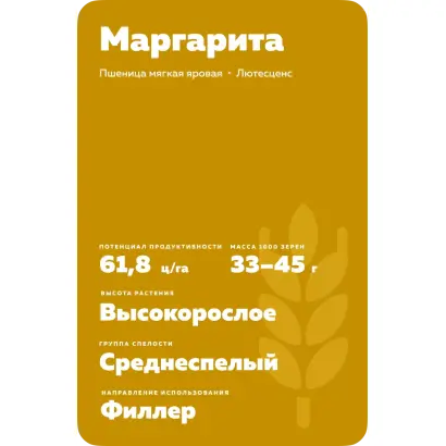 МАРГАРИТА