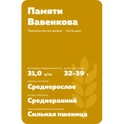 ПАМЯТИ ВАВЕНКОВА