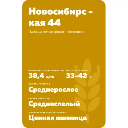 НОВОСИБИРСКАЯ 44