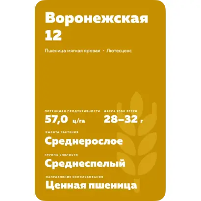 ВОРОНЕЖСКАЯ 12