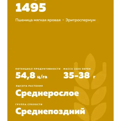 АМУРСКАЯ 1495