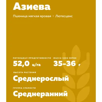 ПАМЯТИ АЗИЕВА