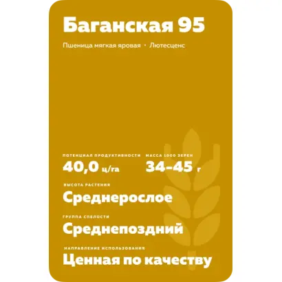 БАГАНСКАЯ 95