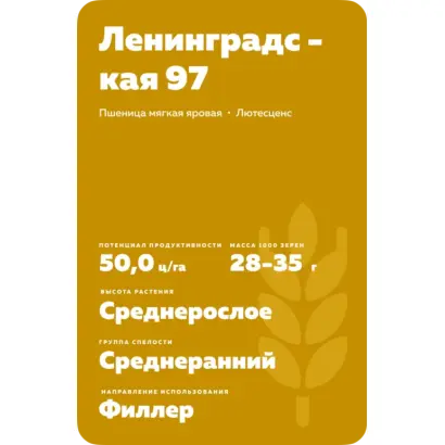 ЛЕНИНГРАДСКАЯ 97