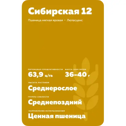 СИБИРСКАЯ 12
