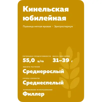 КИНЕЛЬСКАЯ 61