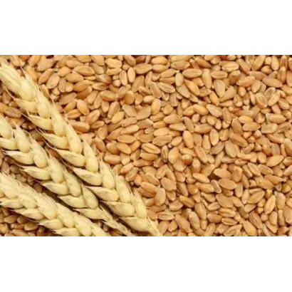 САРАТОВСКАЯ 70