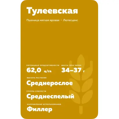 ТУЛЕЕВСКАЯ