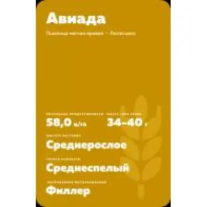 ПРИМОРСКАЯ 40