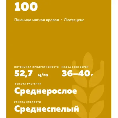 АЛТАЙСКАЯ 100