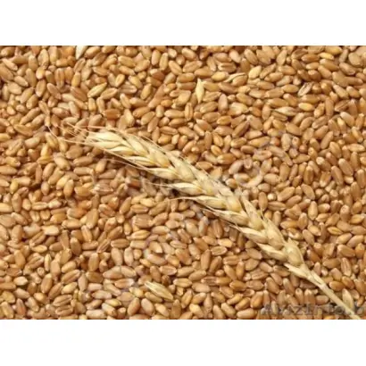 ТУЛАЙКОВСКАЯ 10