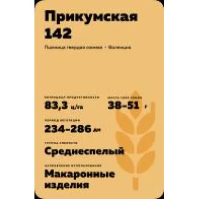 ПРИКУМСКАЯ 142