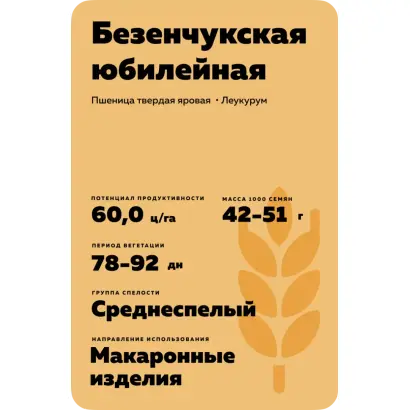 БЕЗЕНЧУКСКАЯ ЮБИЛЕЙНАЯ