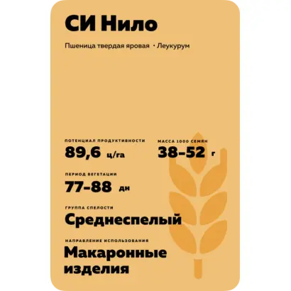 СИ НИЛО