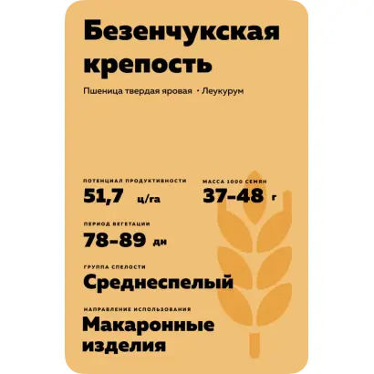 БЕЗЕНЧУКСКАЯ КРЕПОСТЬ