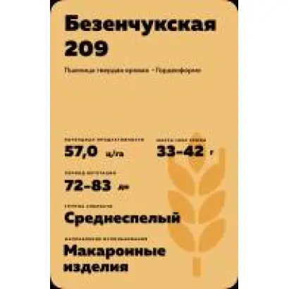 БЕЗЕНЧУКСКАЯ 209