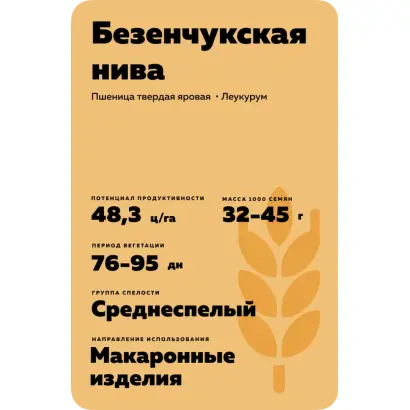 БЕЗЕНЧУКСКАЯ НИВА