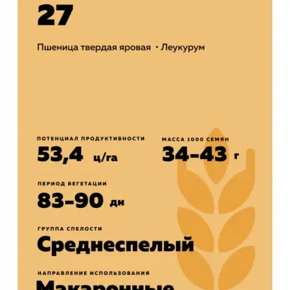 БАШКИРСКАЯ 27