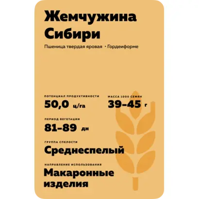 ЖЕМЧУЖИНА СИБИРИ