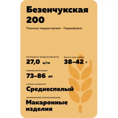 БЕЗЕНЧУКСКАЯ 200