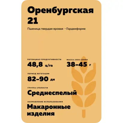 ОРЕНБУРГСКАЯ 21