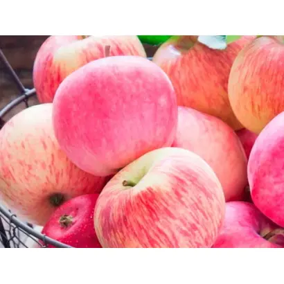 НАЛИВ РОЗОВЫЙ