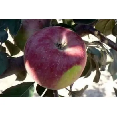 САЛГИРСКОЕ