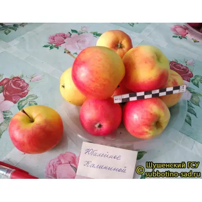 ЮБИЛЕЙНОЕ КАЛИНИНОЙ