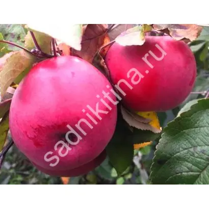 ПАСХАЛЬНОЕ