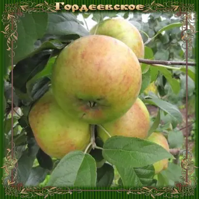 ГОРДЕЕВСКОЕ