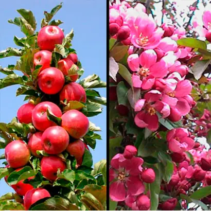 ГРАНАТОВЫЙ БРАСЛЕТ