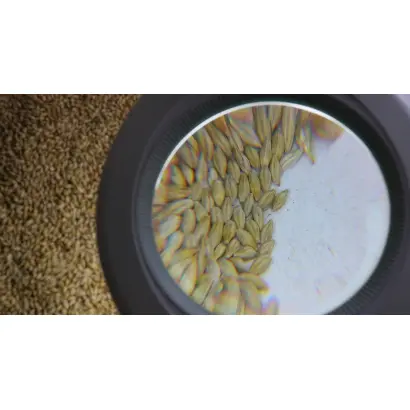 АЛТАЙСКИЙ 22