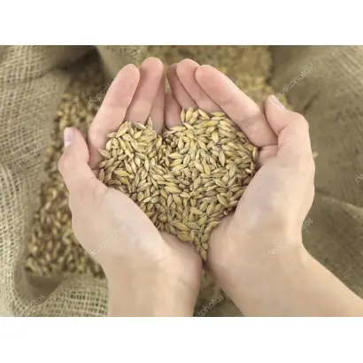 ХАБАРОВСКИЙ