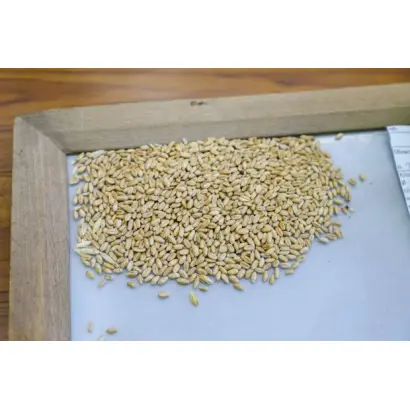 ВОЛГОГРАДСКИЙ 12