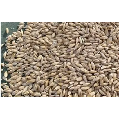 ВОРСИНСКИЙ