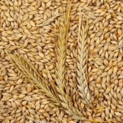 КАЗЬМИНСКИЙ