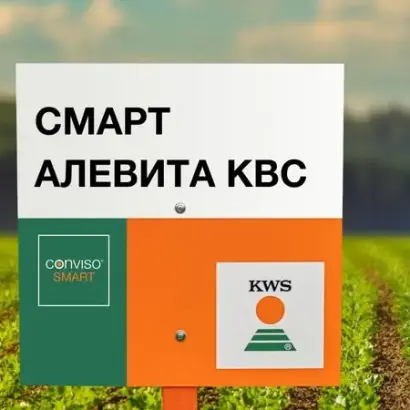 СМАРТ ЭВИТА КВС
