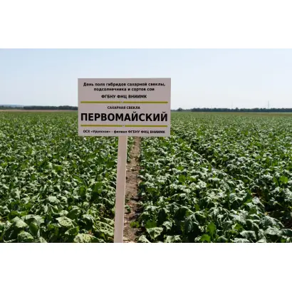 ПЕРВОМАЙСКИЙ