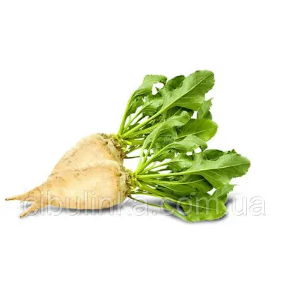 УКРАИНСКИЙ МС 72