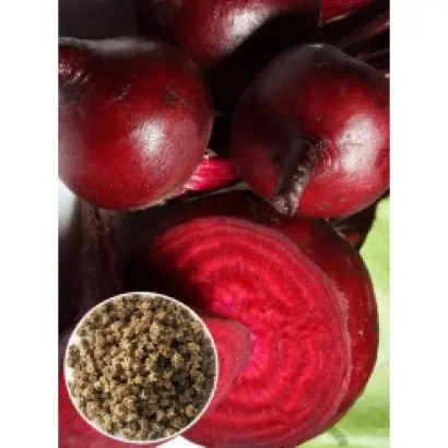 ГРАНАТОВЫЙ ШАР