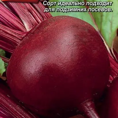 ДЖИПСИ КВИН