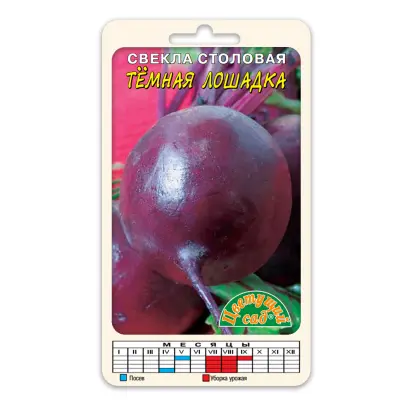 ТЁМНАЯ ЛОШАДКА