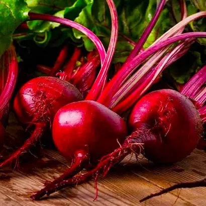 БОРЩЕВАЯ ПРИМА