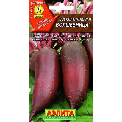 ВОЛШЕБНИЦА
