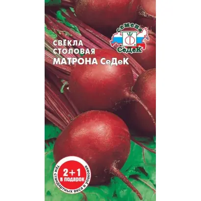 МАТРОНА СЕДЕК