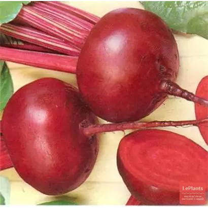 БОРДОВАЯ ВНИИО